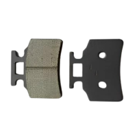 Disk Pad